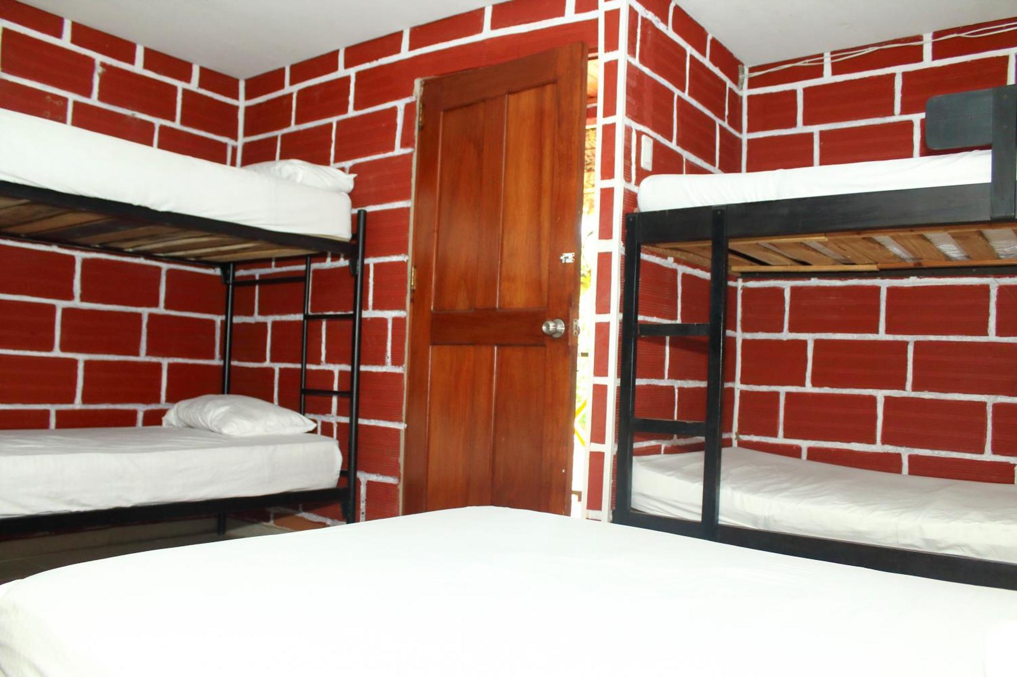 Single Bed Mixed Dormitory Room