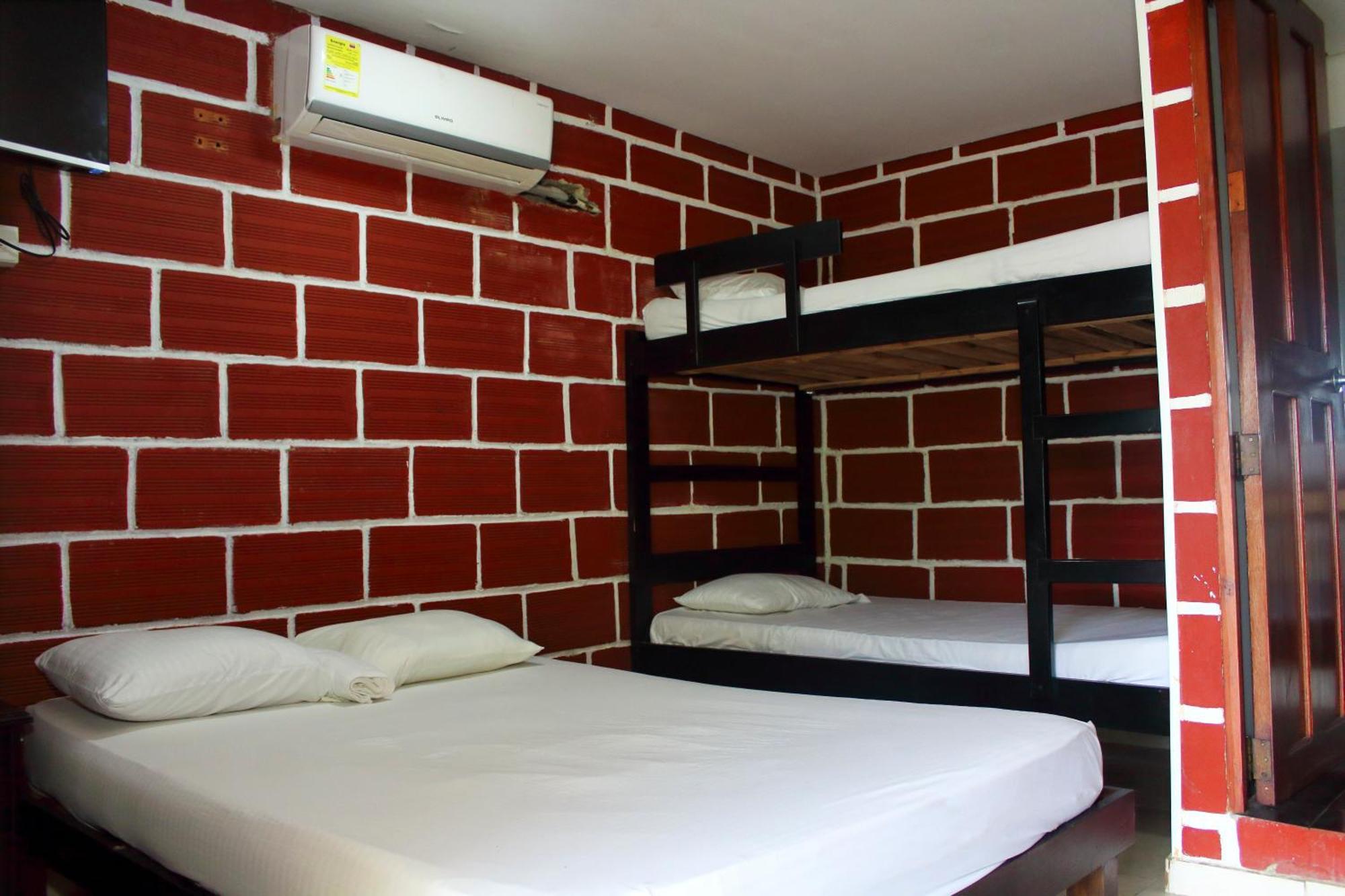 Single Bed Mixed Dormitory Room